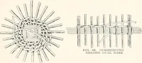 Picture 109 of 196 from How to make Indian and other baskets (1903), leaf 86