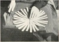 Picture 119 of 196 from How to make Indian and other baskets (1903), leaf 97