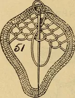 An illustration from How to make lace. (1899)