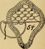 An illustration from How to make lace. (1899)