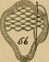 Picture 10 of 43 from How to make lace. (1899), leaf 16