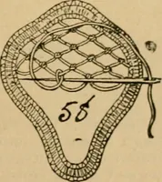 An illustration from How to make lace. (1899)