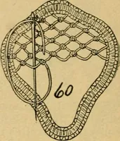 An illustration from How to make lace. (1899)