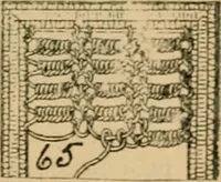 An illustration from How to make lace. (1899)