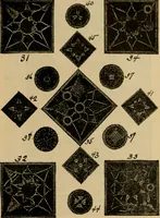An illustration from How to make lace. (1899)