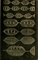 An illustration from How to make lace. (1899)