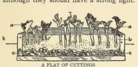 Picture 4 of 7 from How to make school gardens; a manual for teachers and pupils (1903), leaf 107