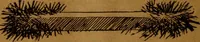An illustration from How to make and use electricity .. (1889)