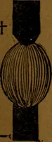 An illustration from How to make and use electricity .. (1889)