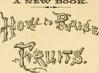 Picture 22 of 22 from How to paint : a complete compendium of the art. Designed for the use of the tradesman, mechanic, merchant, and farmer, and to guide the professional painter ... / by F. B. Gardner ... (1880), leaf 137