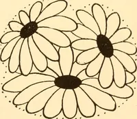 An illustration from How to paint flowers, scrolls and fancy borders for up-to-date show cards, posters, display signs and decorating (1915)