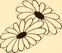 An illustration from How to paint flowers, scrolls and fancy borders for up-to-date show cards, posters, display signs and decorating (1915)