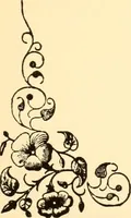An illustration from How to paint flowers, scrolls and fancy borders for up-to-date show cards, posters, display signs and decorating (1915)