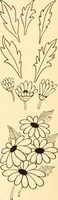 An illustration from How to paint flowers, scrolls and fancy borders for up-to-date show cards, posters, display signs and decorating (1915)