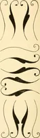An illustration from How to paint flowers, scrolls and fancy borders for up-to-date show cards, posters, display signs and decorating (1915)