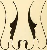 An illustration from How to paint flowers, scrolls and fancy borders for up-to-date show cards, posters, display signs and decorating (1915)