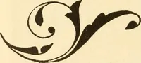 An illustration from How to paint flowers, scrolls and fancy borders for up-to-date show cards, posters, display signs and decorating (1915)