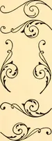 An illustration from How to paint flowers, scrolls and fancy borders for up-to-date show cards, posters, display signs and decorating (1915)