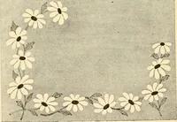 An illustration from How to paint flowers, scrolls and fancy borders for up-to-date show cards, posters, display signs and decorating (1915)