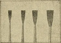 An illustration from How to paint flowers, scrolls and fancy borders for up-to-date show cards, posters, display signs and decorating (1915)