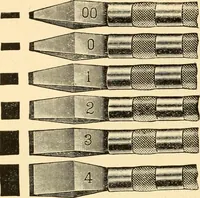 An illustration from How to paint flowers, scrolls and fancy borders for up-to-date show cards, posters, display signs and decorating (1915)