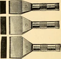 An illustration from How to paint flowers, scrolls and fancy borders for up-to-date show cards, posters, display signs and decorating (1915)
