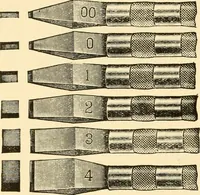 An illustration from How to paint flowers, scrolls and fancy borders for up-to-date show cards, posters, display signs and decorating (1915)