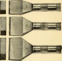 An illustration from How to paint flowers, scrolls and fancy borders for up-to-date show cards, posters, display signs and decorating (1915)