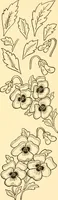 An illustration from How to paint flowers, scrolls and fancy borders for up-to-date show cards, posters, display signs and decorating (1915)