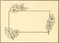 An illustration from How to paint flowers, scrolls and fancy borders for up-to-date show cards, posters, display signs and decorating (1915)