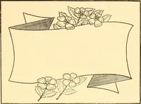An illustration from How to paint flowers, scrolls and fancy borders for up-to-date show cards, posters, display signs and decorating (1915)