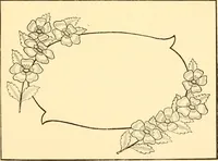 An illustration from How to paint flowers, scrolls and fancy borders for up-to-date show cards, posters, display signs and decorating (1915)