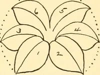 An illustration from How to paint flowers, scrolls and fancy borders for up-to-date show cards, posters, display signs and decorating (1915)