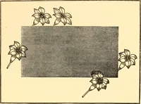 An illustration from How to paint flowers, scrolls and fancy borders for up-to-date show cards, posters, display signs and decorating (1915)
