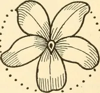 An illustration from How to paint flowers, scrolls and fancy borders for up-to-date show cards, posters, display signs and decorating (1915)