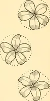 An illustration from How to paint flowers, scrolls and fancy borders for up-to-date show cards, posters, display signs and decorating (1915)