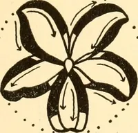 An illustration from How to paint flowers, scrolls and fancy borders for up-to-date show cards, posters, display signs and decorating (1915)