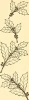 An illustration from How to paint flowers, scrolls and fancy borders for up-to-date show cards, posters, display signs and decorating (1915)