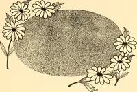 An illustration from How to paint flowers, scrolls and fancy borders for up-to-date show cards, posters, display signs and decorating (1915)