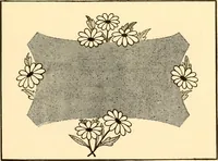 An illustration from How to paint flowers, scrolls and fancy borders for up-to-date show cards, posters, display signs and decorating (1915)