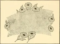 An illustration from How to paint flowers, scrolls and fancy borders for up-to-date show cards, posters, display signs and decorating (1915)