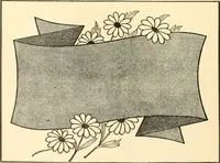 An illustration from How to paint flowers, scrolls and fancy borders for up-to-date show cards, posters, display signs and decorating (1915)