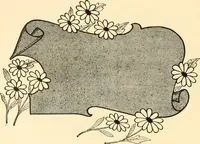 An illustration from How to paint flowers, scrolls and fancy borders for up-to-date show cards, posters, display signs and decorating (1915)