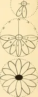 An illustration from How to paint flowers, scrolls and fancy borders for up-to-date show cards, posters, display signs and decorating (1915)