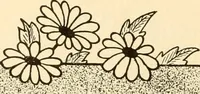 An illustration from How to paint flowers, scrolls and fancy borders for up-to-date show cards, posters, display signs and decorating (1915)