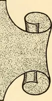 An illustration from How to paint flowers, scrolls and fancy borders for up-to-date show cards, posters, display signs and decorating (1915)