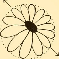 An illustration from How to paint flowers, scrolls and fancy borders for up-to-date show cards, posters, display signs and decorating (1915)