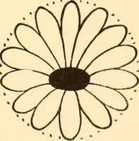An illustration from How to paint flowers, scrolls and fancy borders for up-to-date show cards, posters, display signs and decorating (1915)