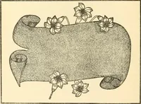 An illustration from How to paint flowers, scrolls and fancy borders for up-to-date show cards, posters, display signs and decorating (1915)