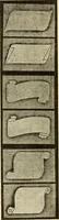 An illustration from How to paint flowers, scrolls and fancy borders for up-to-date show cards, posters, display signs and decorating (1915)